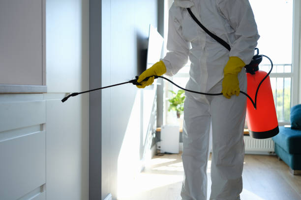 Best Mold Remediation  in Evart, MI