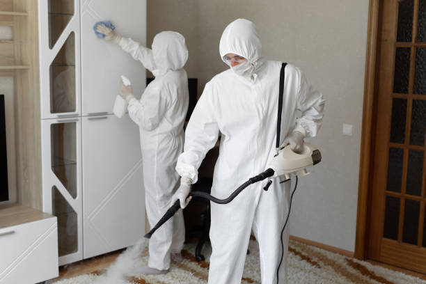 Best Toxic Mold Removal  in Evart, MI