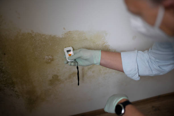Best Mold Testing  in Evart, MI