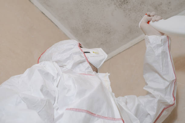 Best Emergency Mold Removal  in Evart, MI