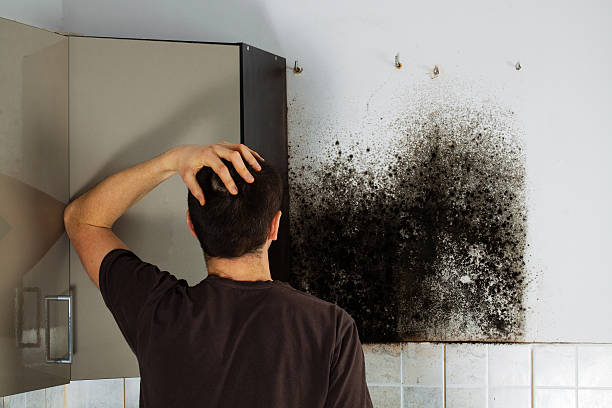 Best Crawl Space Mold Removal  in Evart, MI